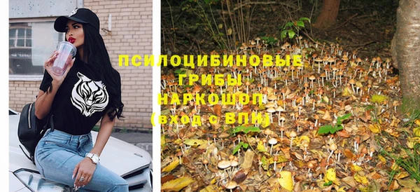 герыч Алексин