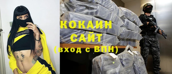 соль ск Алзамай
