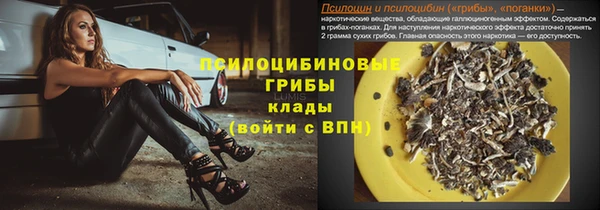первитин Алексеевка