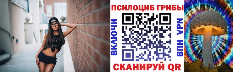 Псилоцибиновые грибы мицелий  omg маркетплейс  Железногорск-Илимский 